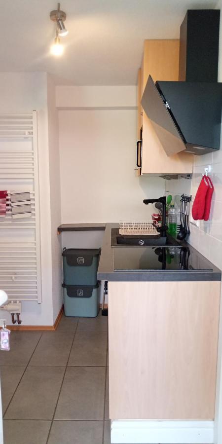 Ferienwohnung In Grenzach Dış mekan fotoğraf